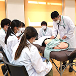 Faculty of Medicine